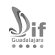 Logo Dif Gdl